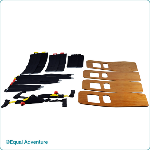 Image of Pond Skaters